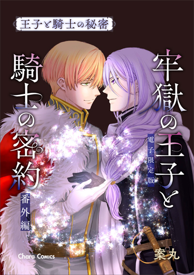 「牢獄の王子と騎士の密約」番外編 『王子と騎士の秘密』
